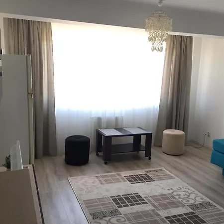 公寓 Garsoniera Adina 康斯坦察
