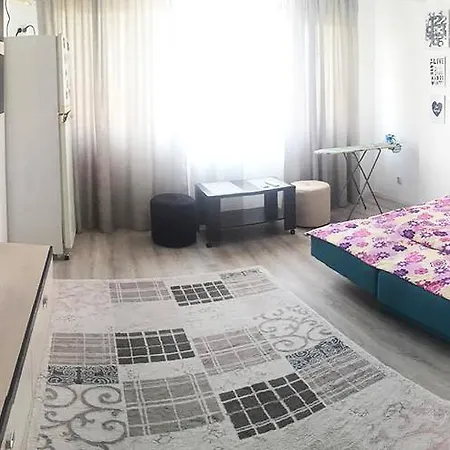 Garsoniera Adina 康斯坦察